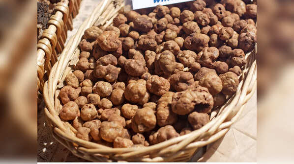 White Truffles