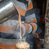 Article image for: Tandoori <i class="tbold">chai</i>
