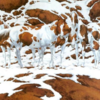 ​Count the number of animals