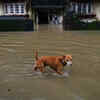 Waterlogging in Mumbai pics