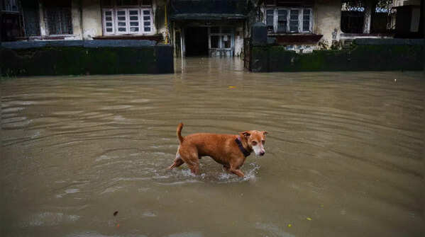 Waterlogging in Mumbai pics