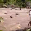 Odisha rain fury
