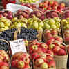 Article image for: Advantages of <i class="tbold">fruit salad</i> tree