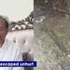 Article image for: Former <i class="tbold">kannada actor</i> Shivaranjan Bolannava shot at, escapes unhurt; police say property dispute behind the crime