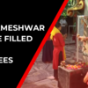 Article image for: Devotees flocked Mankameshwar temple to offer prayers