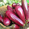 Brinjal