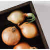 ​Rich in Quercetin