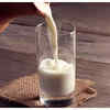 Article image for: <i class="tbold">dairy</i>