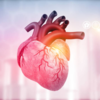 ​How to maintain good heart health?