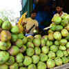 Coconut on high demand