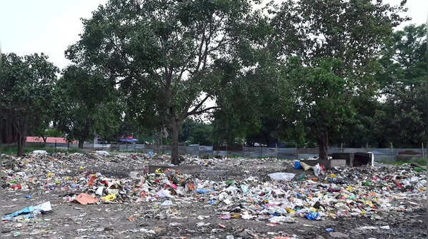 Haridwar waste