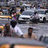 Article image for: Monsoon <i class="tbold">mayhem</i>