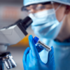 ​Monkeypox is same as small pox and chickenpox