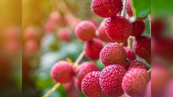 Lychee or Litchi