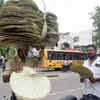 Palm leaf hand fans