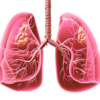 Article image for: What are the symptoms of <i class="tbold">lung cancer</i>?