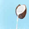 Article image for: <i class="tbold">coconut milk</i>