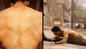Tiger Shroff shows off his 'battle wounds'; posts video of 'one of his favourite shots' from 'Baaghi 3'