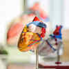 High altitude can affect your heart disease risk