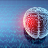 ​The neurological issues associated with vitamin D deficiency