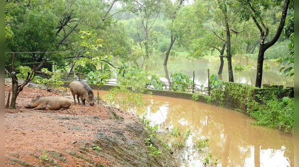 Best of TOI images for the month of July from Mangaluru