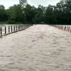 Article image for: Chhattisgarh: Water in <i class="tbold">sabari</i> River overflows amid heavy rain
