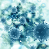 ​Are henipaviruses deadly?