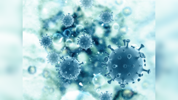 Are henipaviruses deadly?