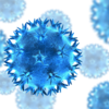 ​What is Henipavirus?