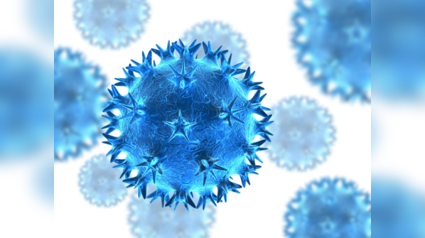 What is Henipavirus?