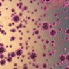 ​What do we know about the virus so far?