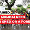 Article image for: Metro or forest? How did the Aarey debate become a battle of egos