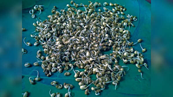 Sprouted moth beans