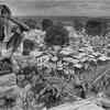 Article image for: The <i class="tbold">partition of india</i>