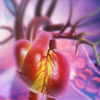 ​What is the sign in legs and arms that can be an indicator for heart health?