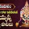 Article image for: Check Out Latest Devotional Telugu Audio Song 'Om Shabarigirisha' Sung By Parthasarathi