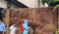 BMC sanitises Amitabh Bachchan's bungalow after he tests positive for COVID-19
