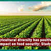 Article image for: Agricultural diversity has positive impact on <i class="tbold">food security</i>: Study