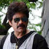 Article image for: <i class="tbold">bollywood movies</i> of Akkineni Nagarjuna