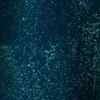 Article image for: Check Out Latest English Official Music Audio Song 'Powders' Sung By <i class="tbold">alt</i>-J