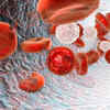 What to know about vitamin B12 deficiency anemia?