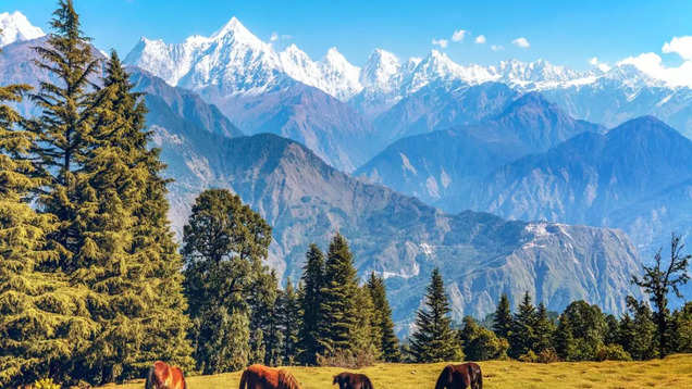 How to plan a perfect trip to Munsiyari in Uttarakhand?