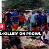 Article image for: Madhya Pradesh: ‘Serial-killer’ on prowl smashing heads of ‘sleeping’ guards in Sagar