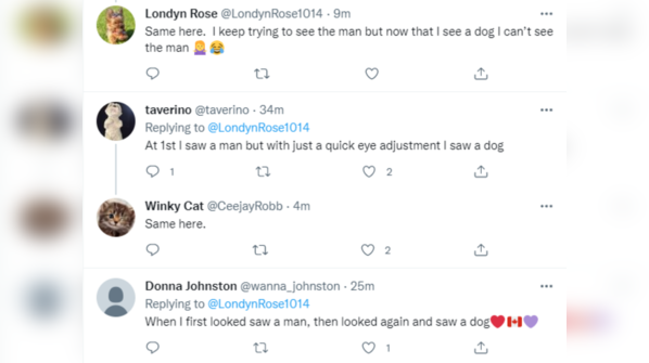 Divided social media