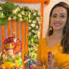 Article image for: <i class="tbold">kajal pisal</i>