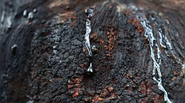 California wildfire