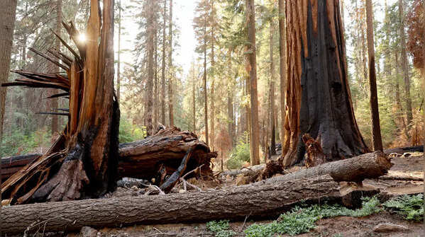 California wildfire