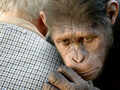 'Rise Of The Planet Of The Apes'