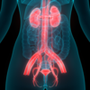 ​Be well informed about prostate cancer