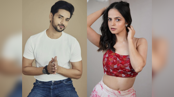 Kundali Bhagya’s Shakti Arora to Taarak Mehta’s Palak Sindhwani: TV actors who were trolled after replacing original star cast in the show